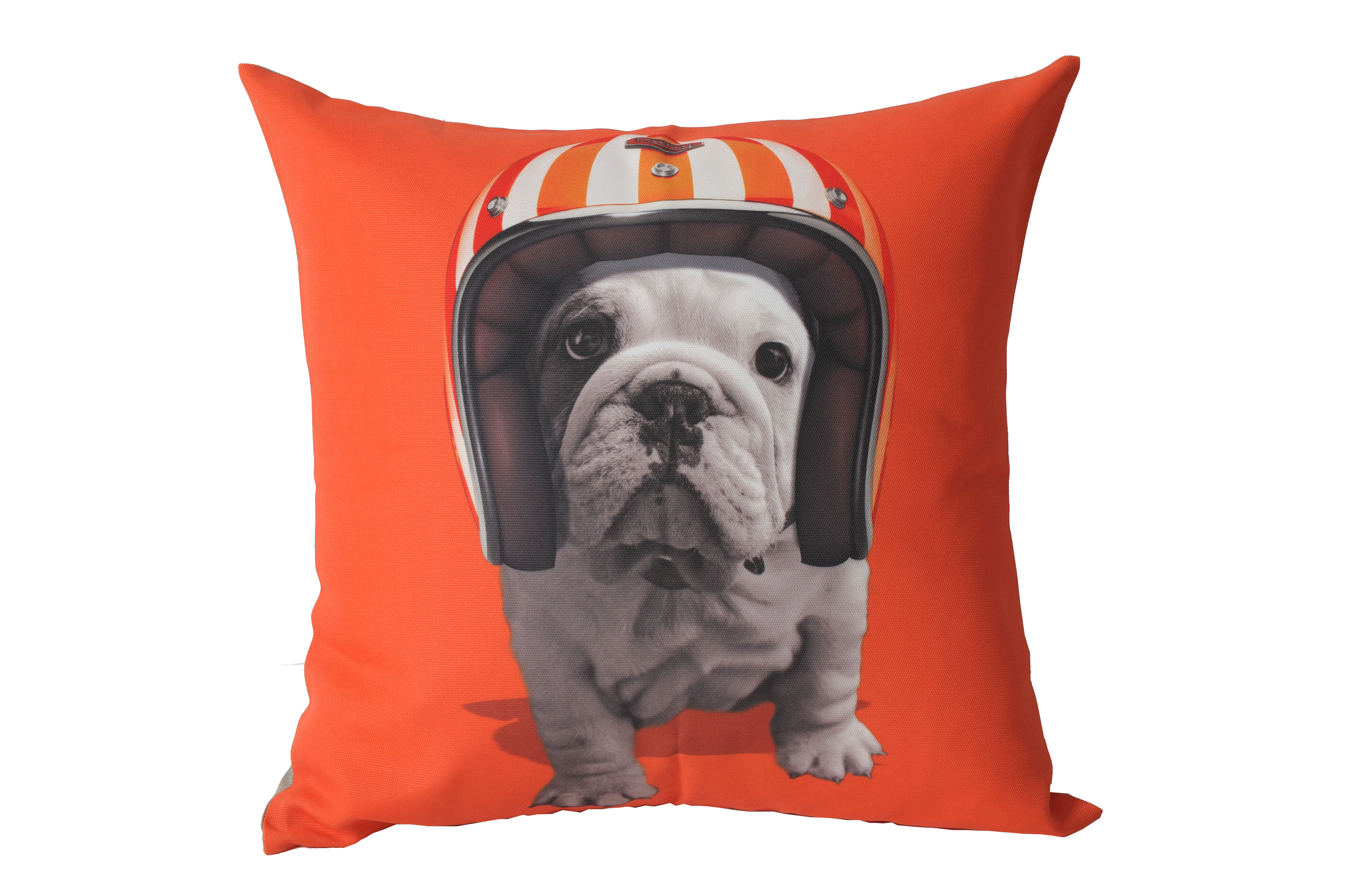 小編沒有特別喜愛動物，但是當動物遇上藝術大師，那就